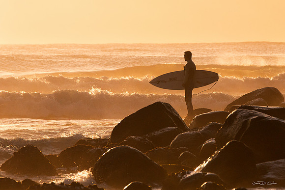 Surf's Up
