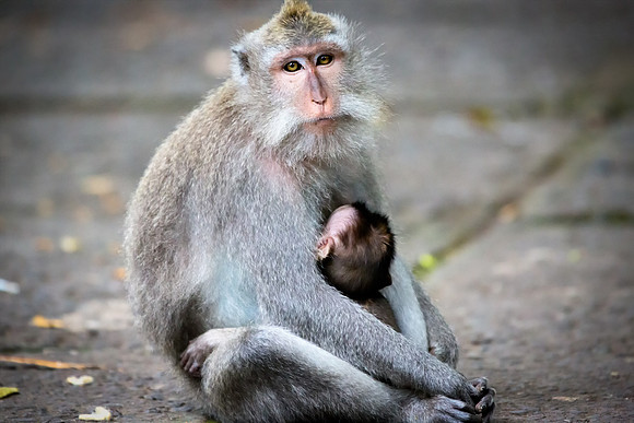 Mother and Son