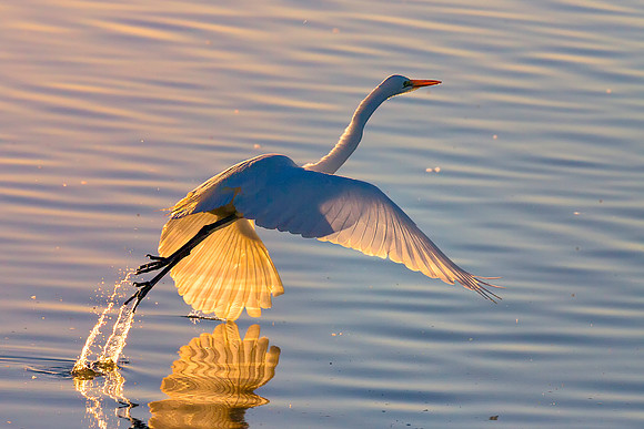 Lift Off
