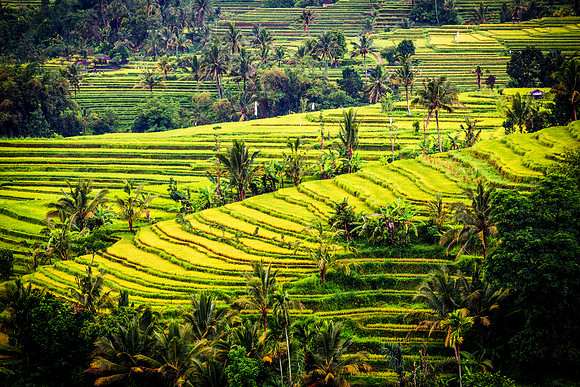 Terraced