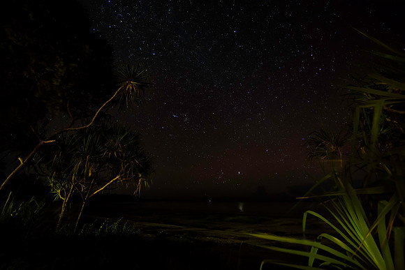 Tropical Stars