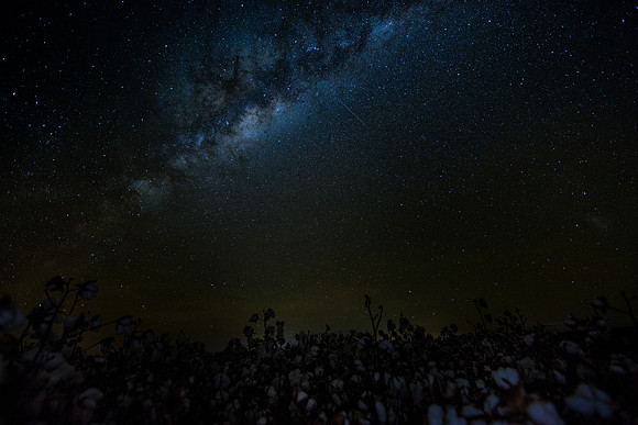 Astro Cotton 1