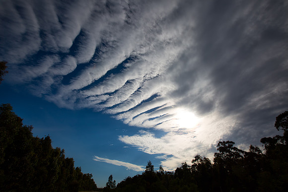 Gill Clouds