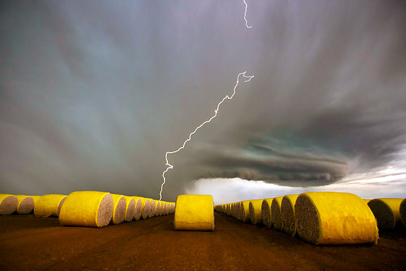 Cotton Strike