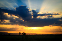 Landscapes, Seascapes and Cityscapes