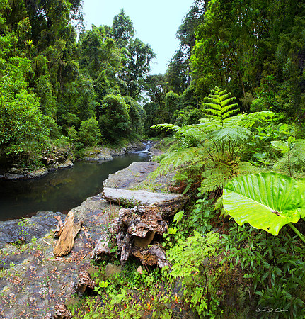West Cunungra Creeks Falls 2