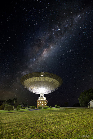 The Dish