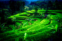On The Land
