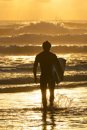Surfer