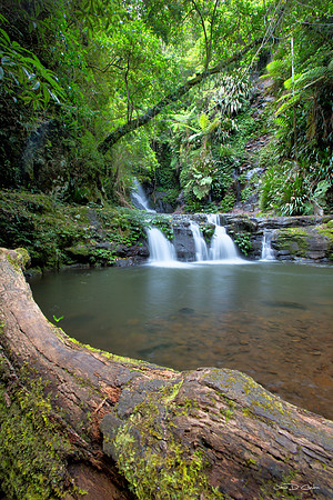 Elebana Falls Portrait