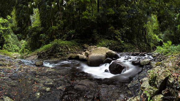 West Canungra Creek