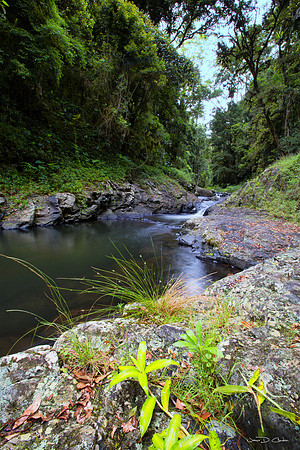West Cunungra Creek Falls 3