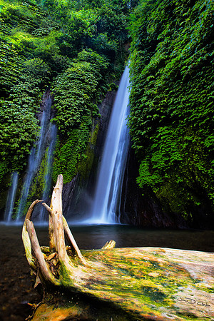 Munduk Falls - Bali