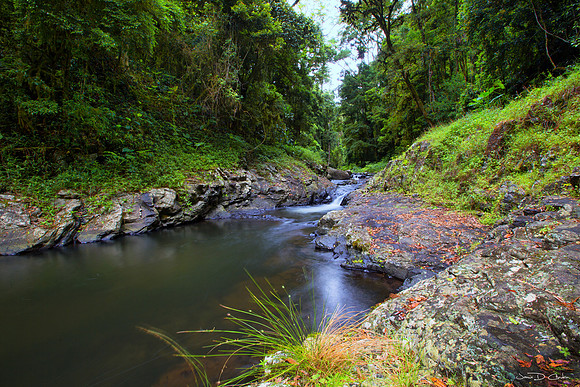 West Canungra Creek Falls 1